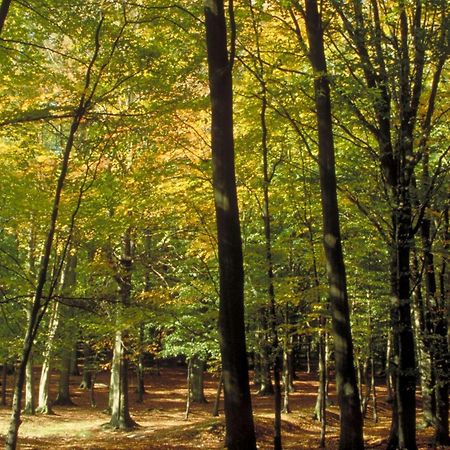 Aigle Noir Fontainebleau Mgallery Екстер'єр фото